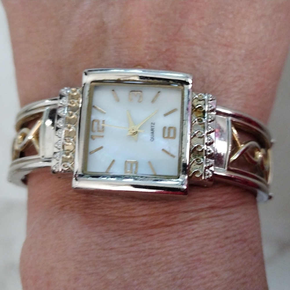 Accutime spring fit watch.